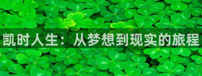 凯时人生：从梦想到现实的旅程