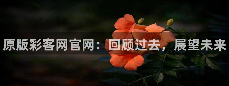 jdb电子体育凯捷平台主管：原版彩客网官网：回顾过去，展望未来